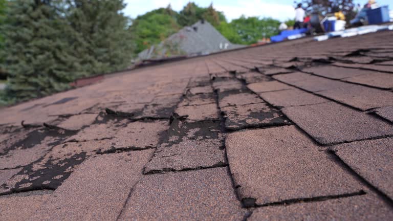 Best Sheet Metal Roofing  in USA
